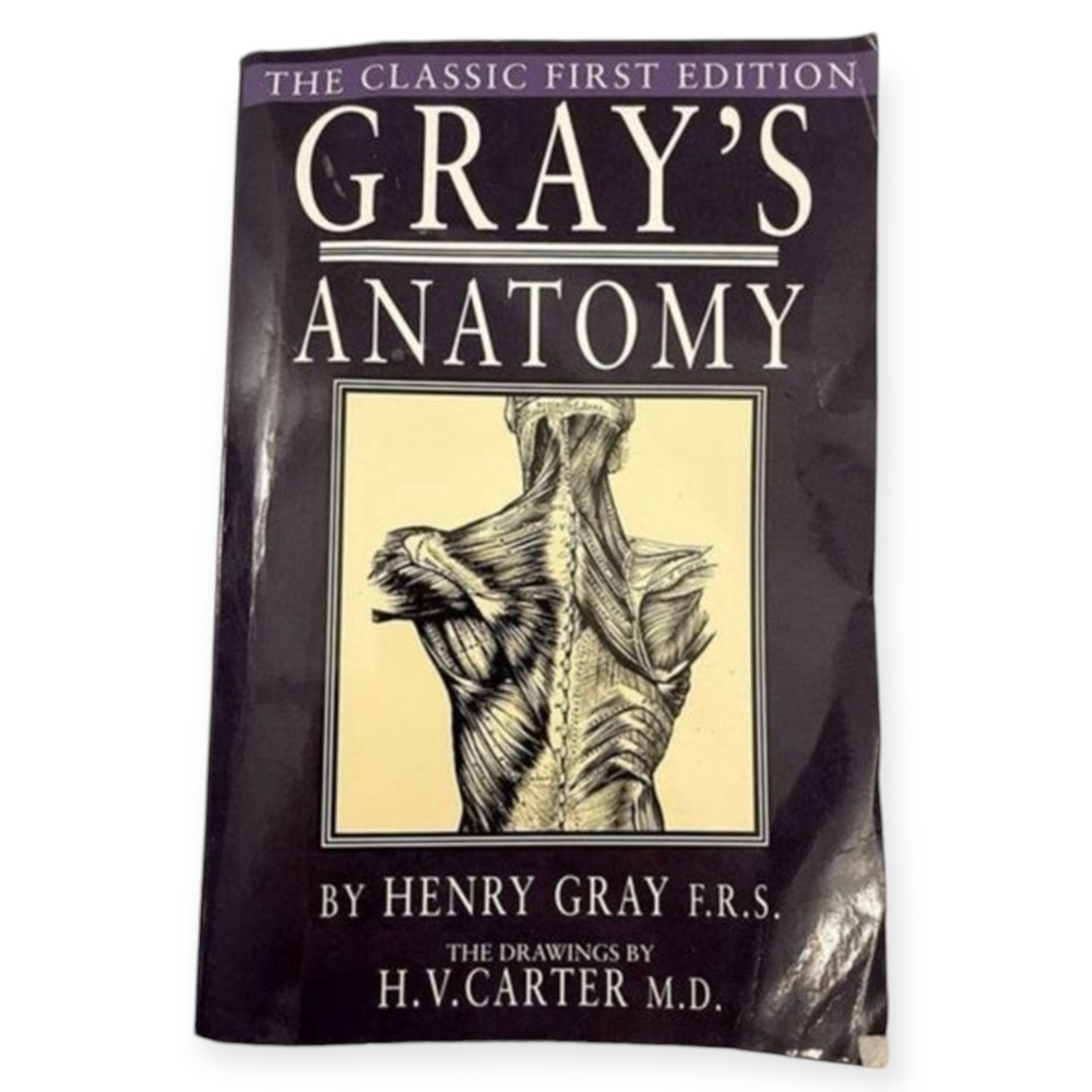 Gray’s Anatomy Book